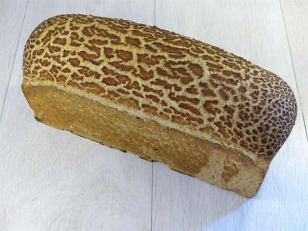 Donker volkoren tijger